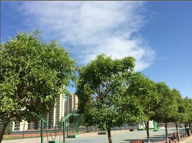 微信图片_20190515175343.jpg