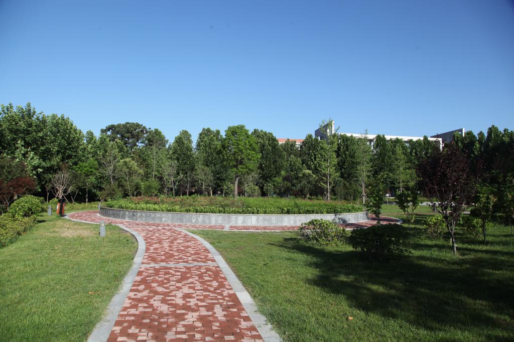 137c92b8efff3d752c6f3bc8b03330bd_08B719E059D64D26A8D9F944645_01030C4B_1C9B2.jpg 137c92b8efff3d752c6f3bc8b03330bd_08B719E059D64D26A8D9F944645_01030C4B_1C9B2.jpg