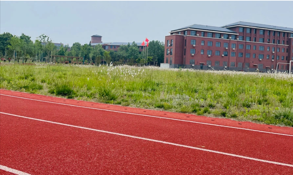 1757926608785.png 1757926608785.png