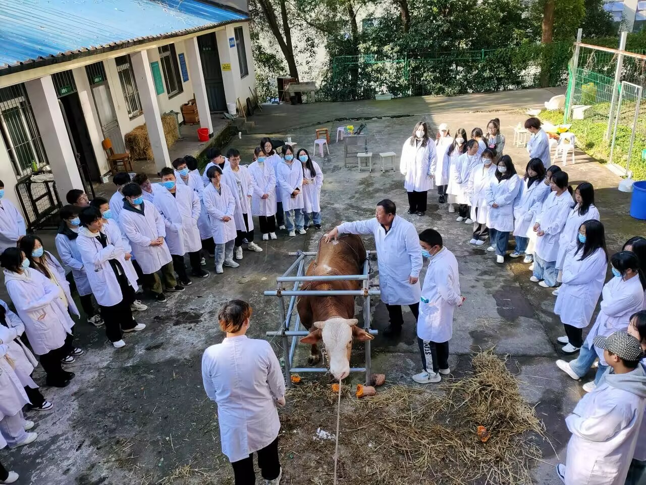 2160df3635cecae9b9e76c42e67d862a_20231127054900887.jpg 2160df3635cecae9b9e76c42e67d862a_20231127054900887.jpg