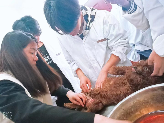 4036ec3757f5bbe99d8e6aa92ef47792_1-230425101Z9441.jpg 4036ec3757f5bbe99d8e6aa92ef47792_1-230425101Z9441.jpg