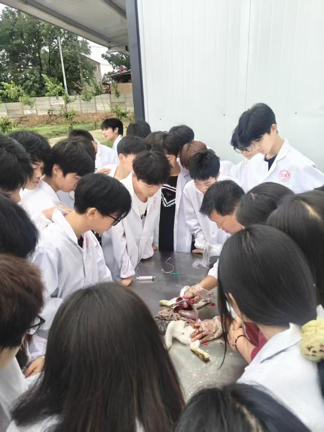 4feab8656064cbae21757e032d271fe.jpg 4feab8656064cbae21757e032d271fe.jpg