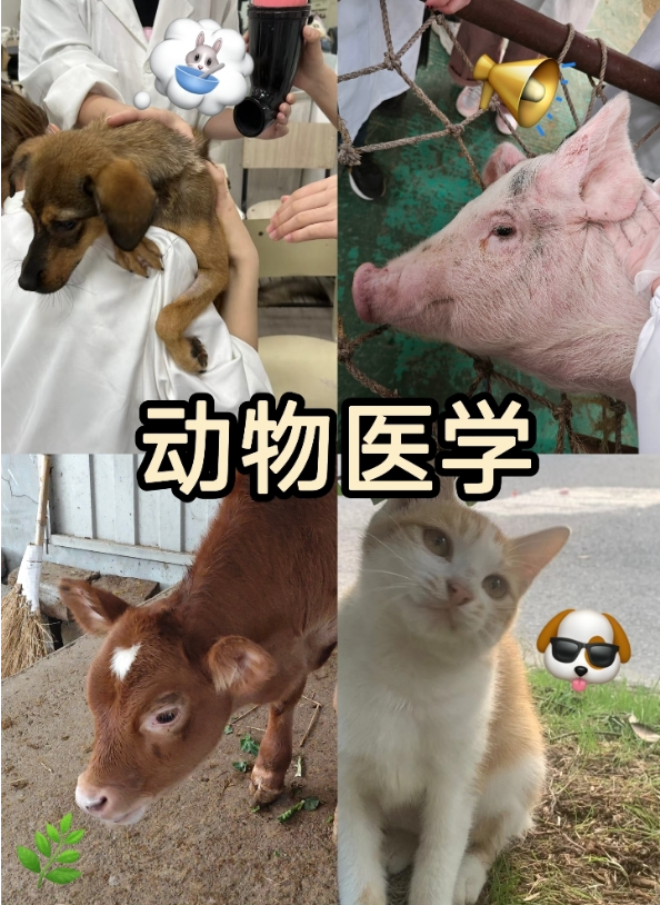 1760080390846.png 1760080390846.png