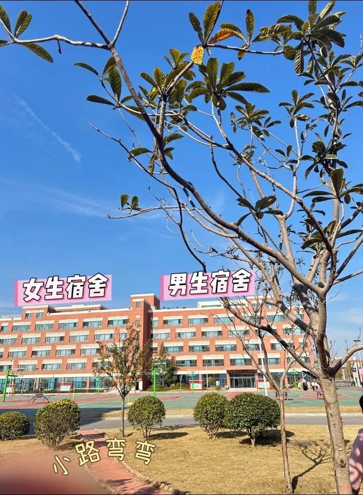 8453e2c51514a300983ddd8d4fa4c6d.jpg 8453e2c51514a300983ddd8d4fa4c6d.jpg