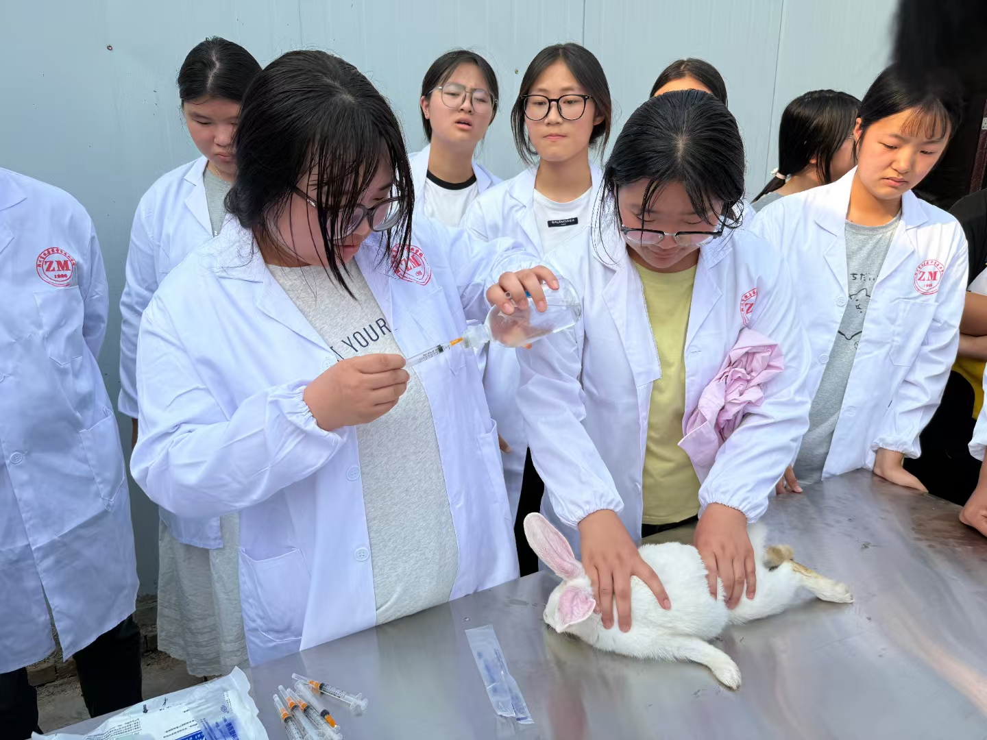 1b3b945c33124a1456607bcb6245272.jpg 1b3b945c33124a1456607bcb6245272.jpg