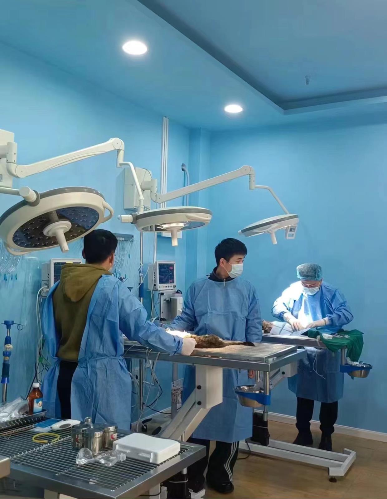 4e550830c4c14b82bc97382611f299d.jpg 4e550830c4c14b82bc97382611f299d.jpg