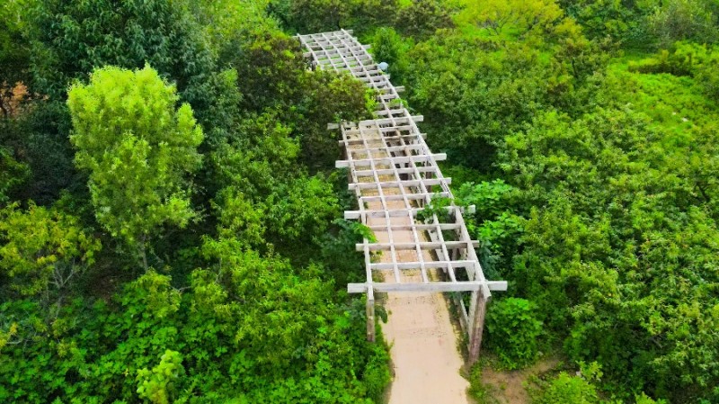 e1f0ca67e764988cb3743ee8901fd03.jpg e1f0ca67e764988cb3743ee8901fd03.jpg