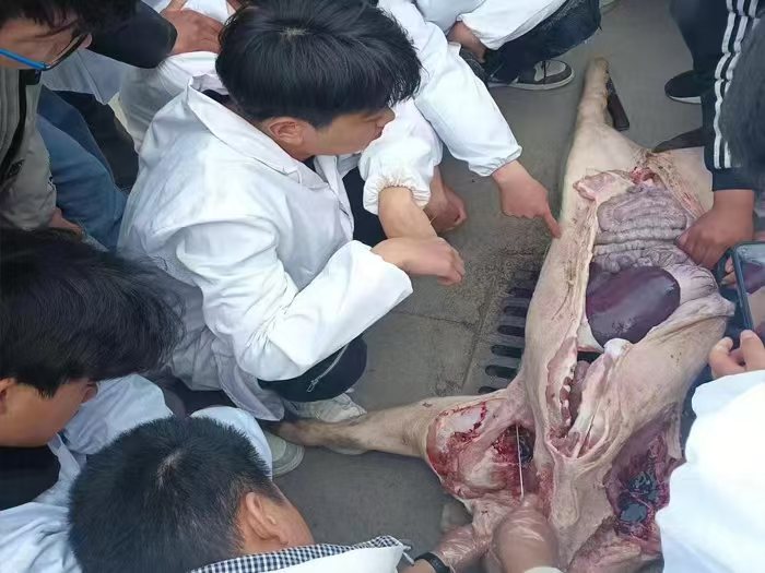 c9777af1a6557d9e35929a3dd0850ac.jpg c9777af1a6557d9e35929a3dd0850ac.jpg