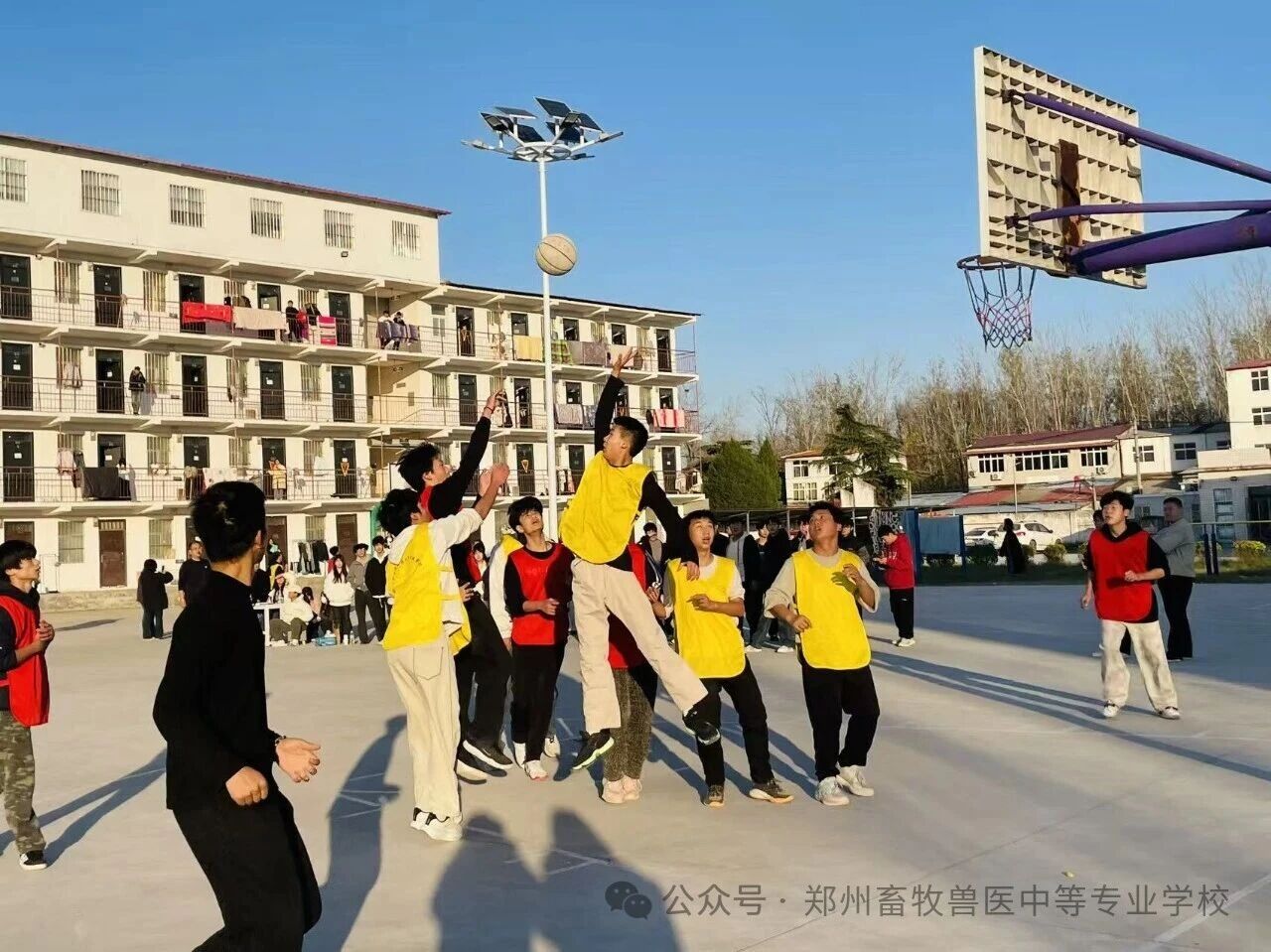 9dba837070e5efcffa9bbcaeb6b170db.jpg 9dba837070e5efcffa9bbcaeb6b170db.jpg